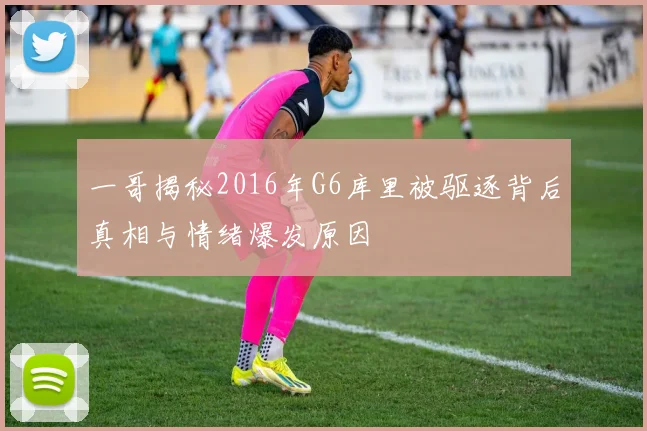 一哥揭秘2016年G6库里被驱逐背后真相与情绪爆发原因
